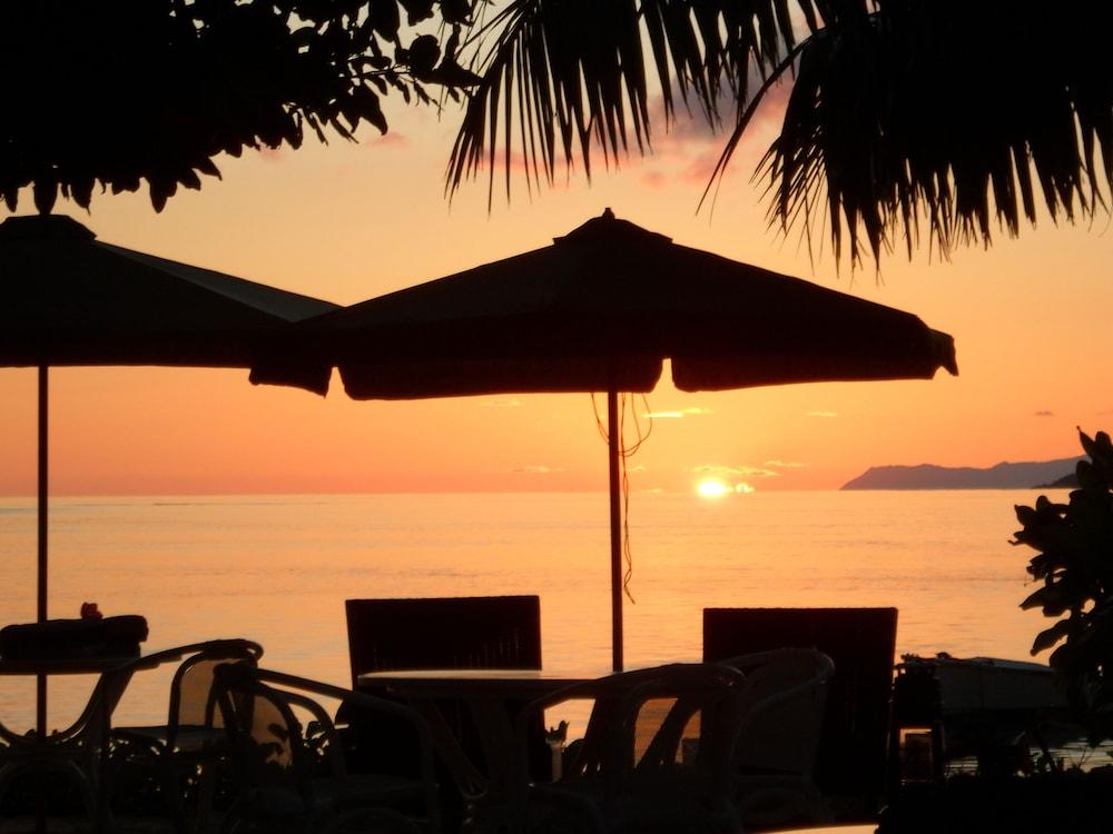 Hotel Palm 3*