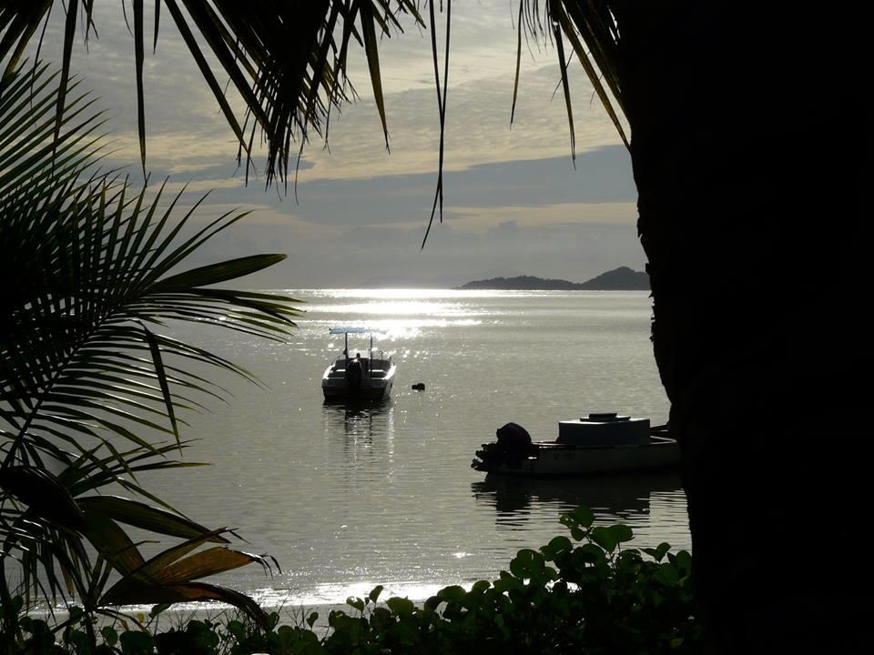 Palm Hotel 3*